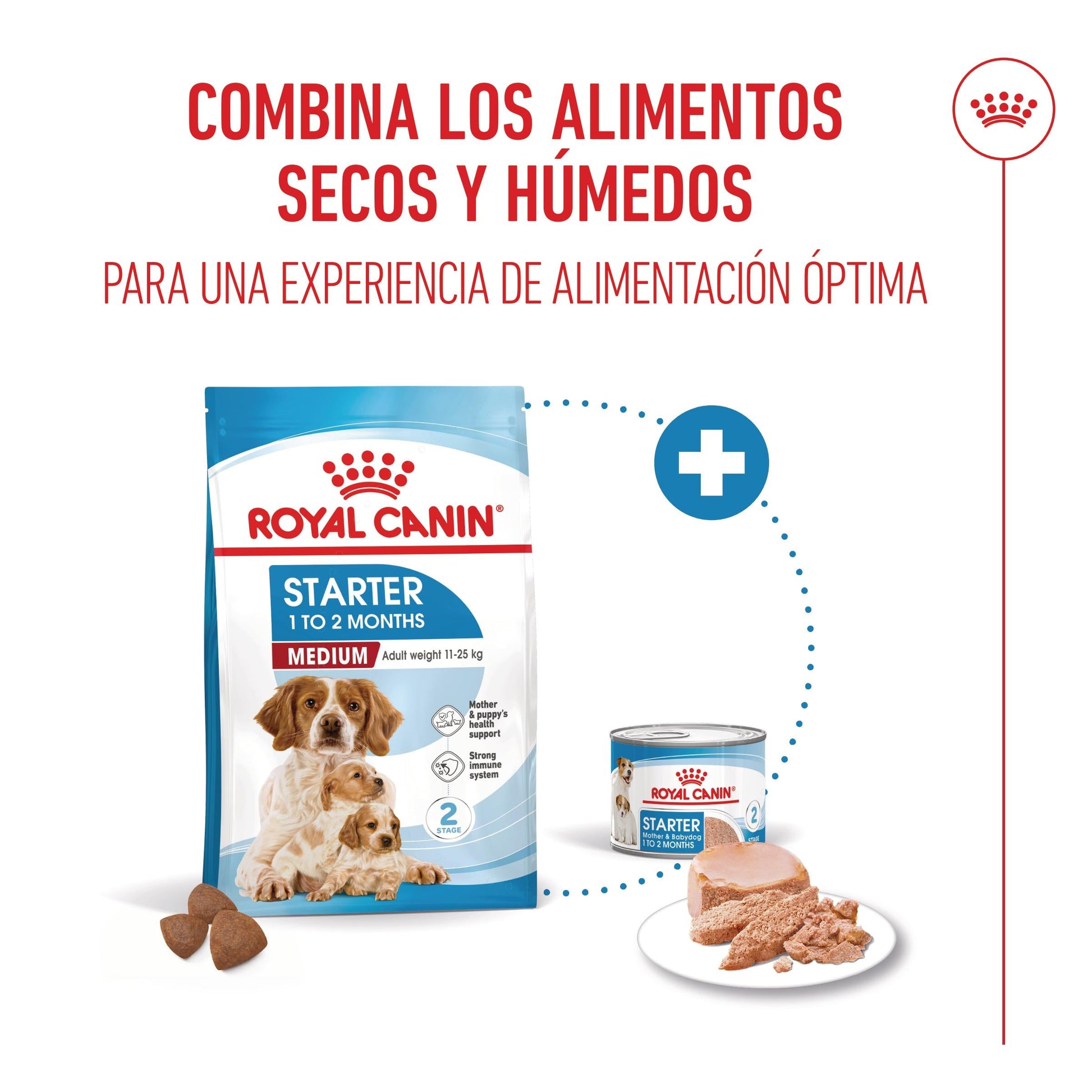 Royal Canin Medium Starter Mother & Babydog Pienso para Cachorros y Madres Lactantes ROYAL CANIN Mascotas-Ávila