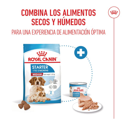 Royal Canin Medium Starter Mother & Babydog Pienso para Cachorros y Madres Lactantes ROYAL CANIN Mascotas-Ávila