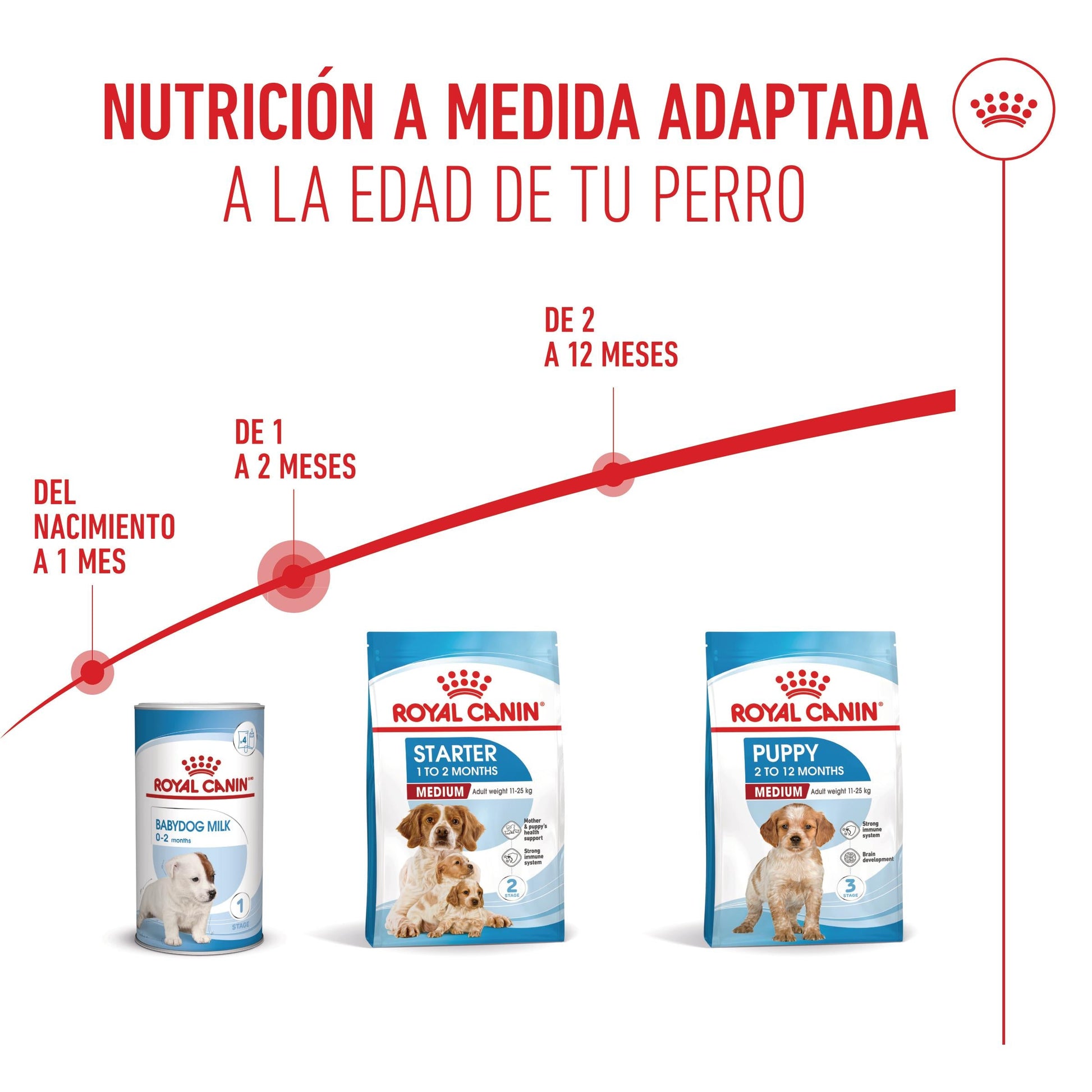 Royal Canin Medium Starter Mother & Babydog Pienso para Cachorros y Madres Lactantes ROYAL CANIN Mascotas-Ávila