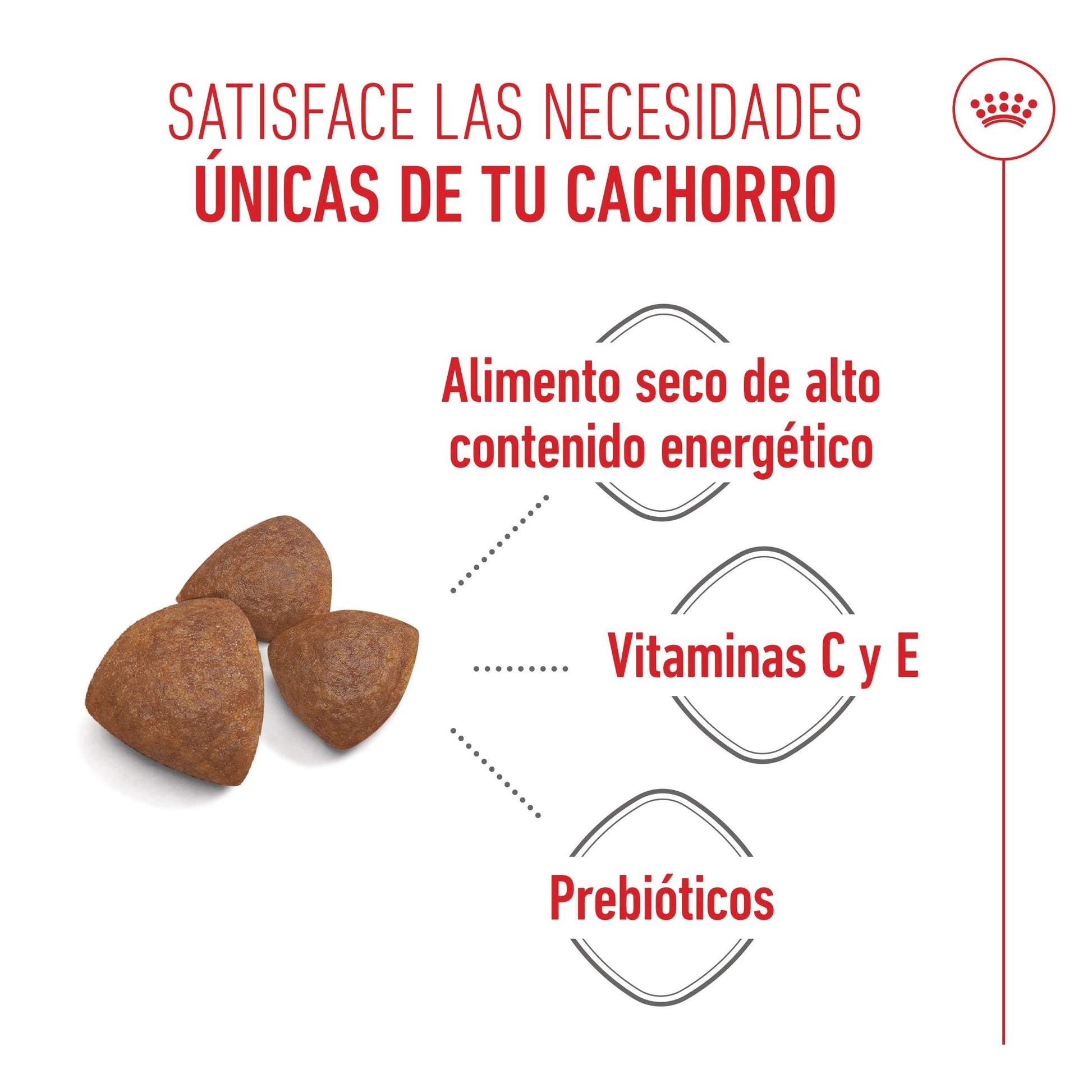Royal Canin Medium Starter Mother & Babydog ROYAL CANIN Mascotas-Ávila