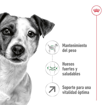 Royal Canin Mini Adult 8+ Pienso para Perros ROYAL CANIN Mascotas-Ávila