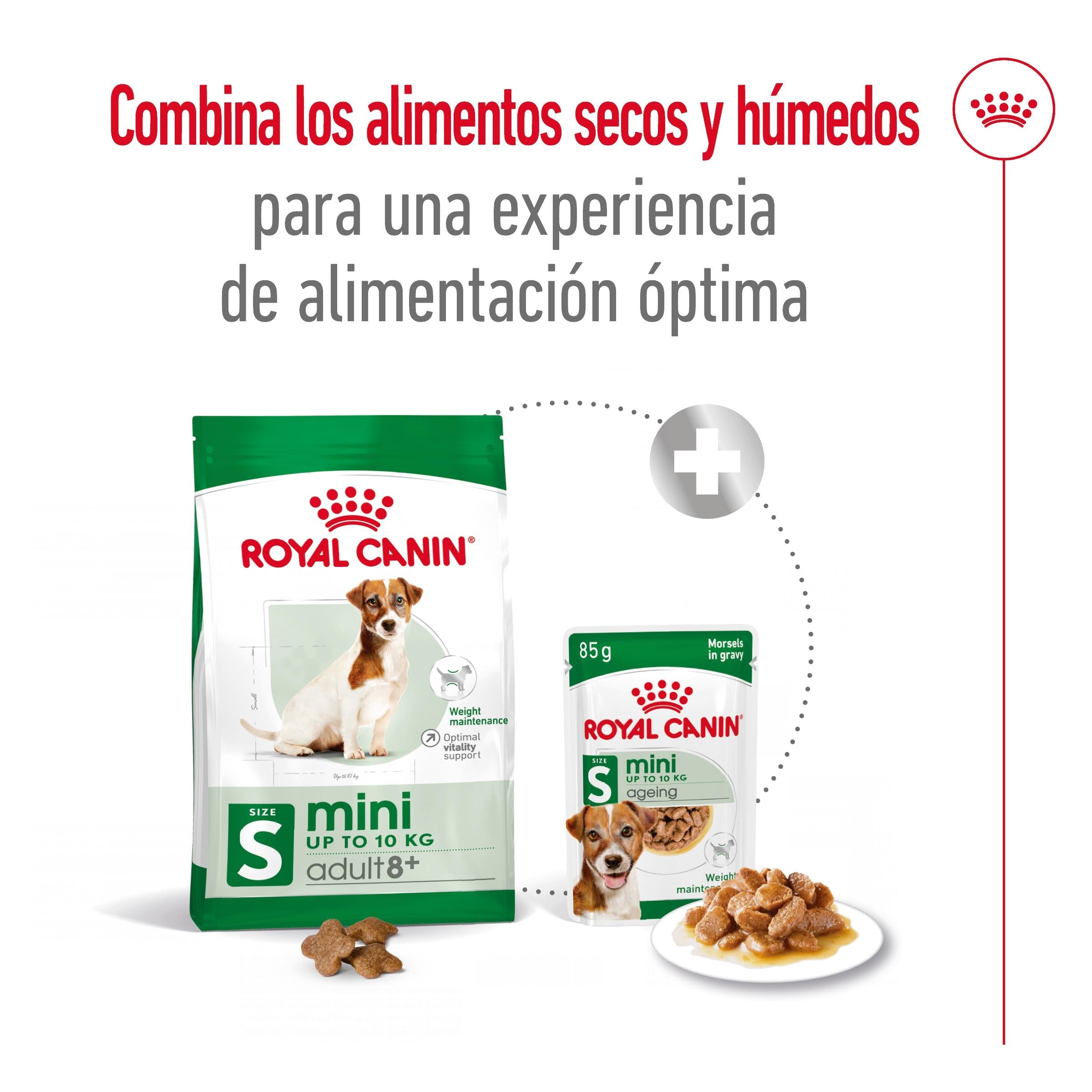 Royal Canin Mini Adult 8+ Pienso para Perros ROYAL CANIN Mascotas-Ávila