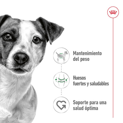 Royal Canin Mini Adult Lata 195 g Paté Húmedo para Perros ROYAL CANIN Mascotas-Ávila