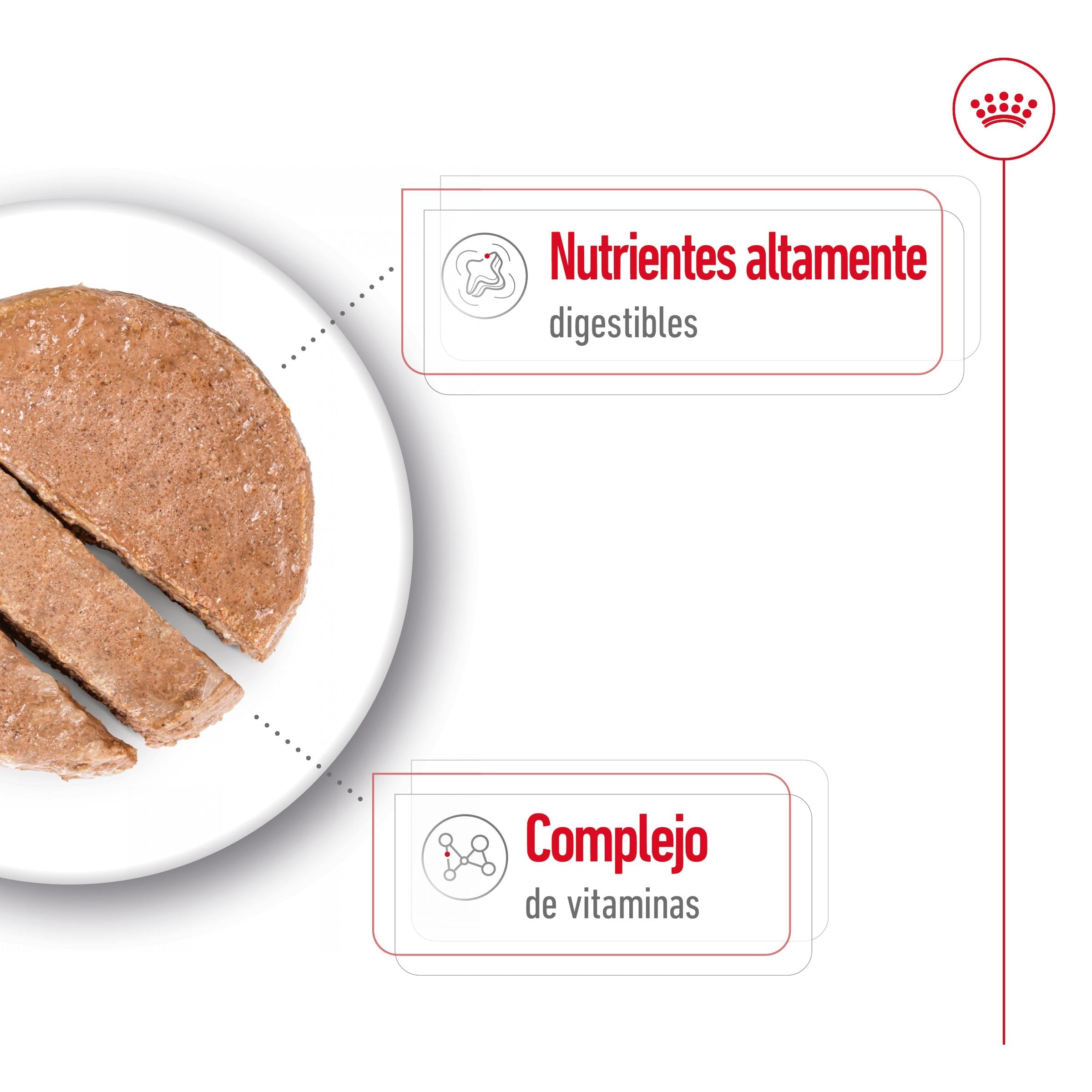 Royal Canin Mini Adult Lata 195 g Paté Húmedo para Perros ROYAL CANIN Mascotas-Ávila