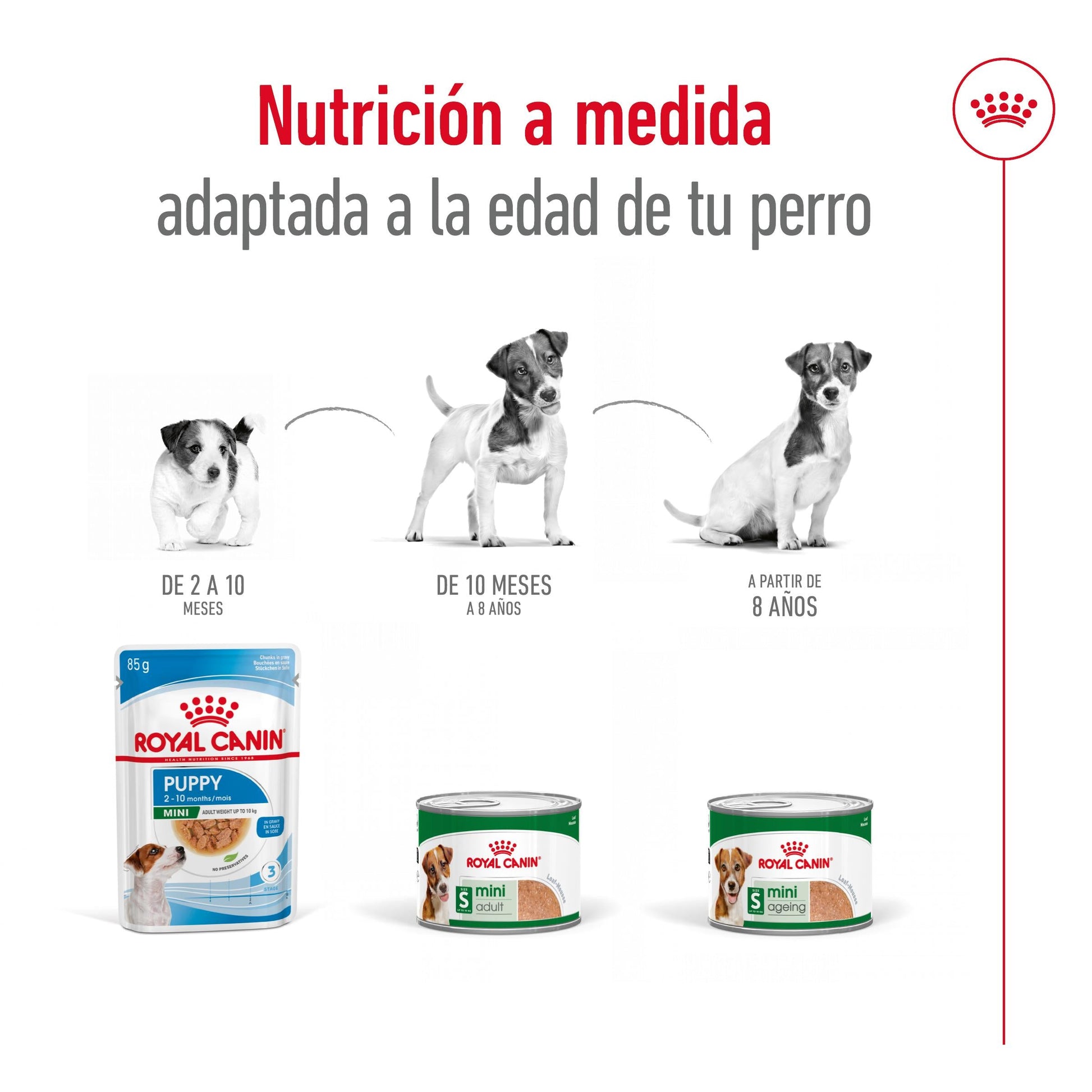 Royal Canin Mini Adult Lata 195 g Paté Húmedo para Perros ROYAL CANIN Mascotas-Ávila