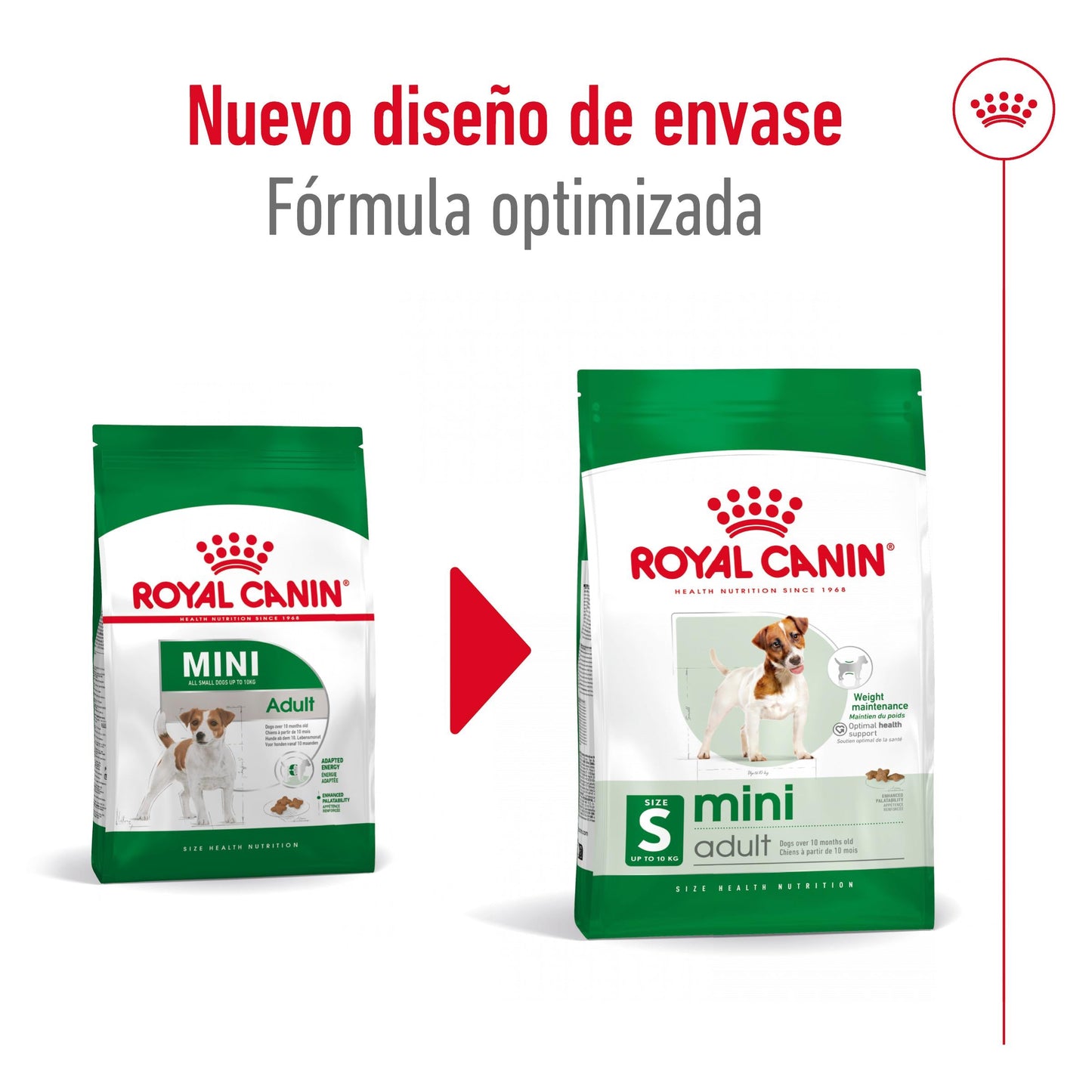 Royal Canin Mini Adult S Pienso para Perros ROYAL CANIN Mascotas-Ávila