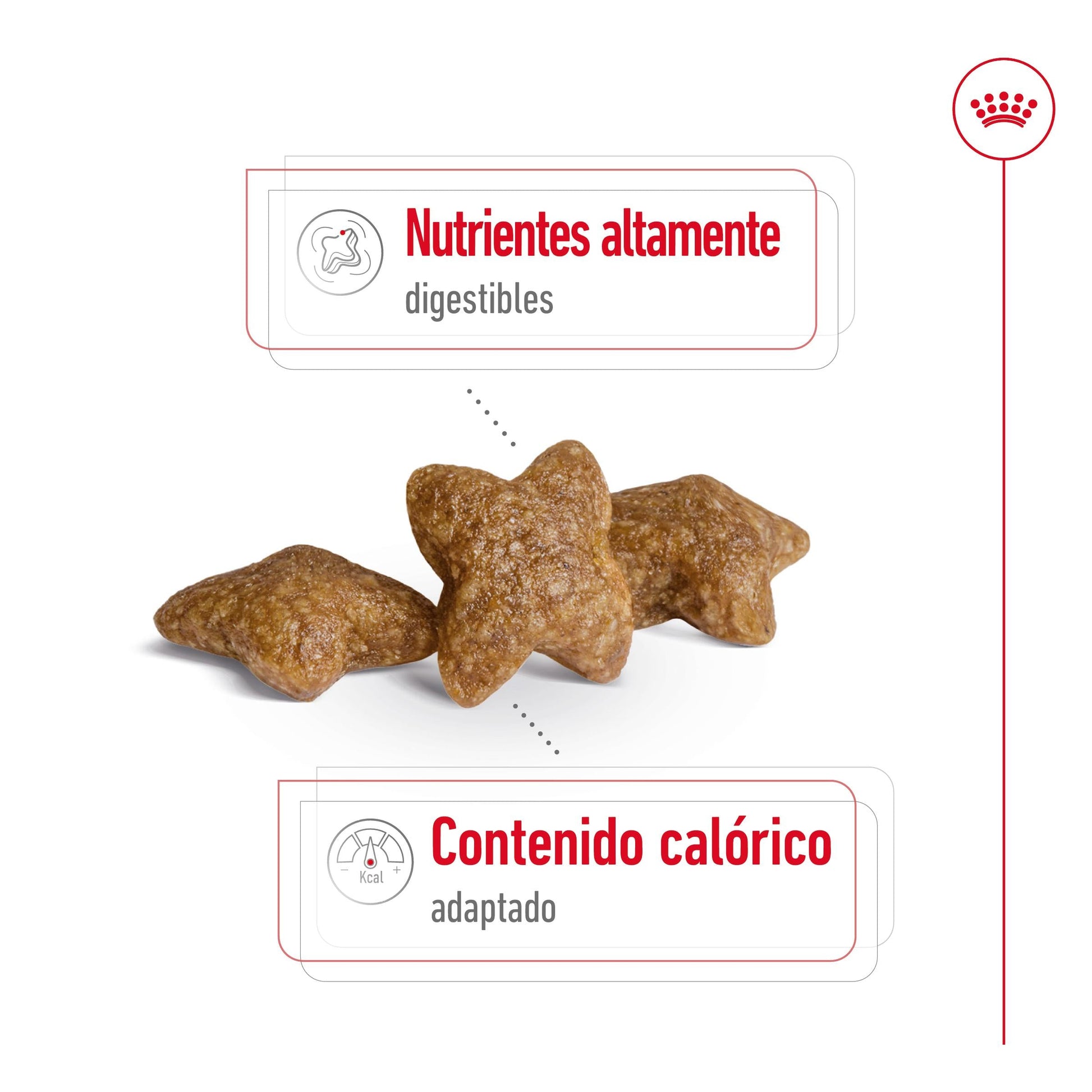 Royal Canin Mini Adult S Pienso para Perros ROYAL CANIN Mascotas-Ávila