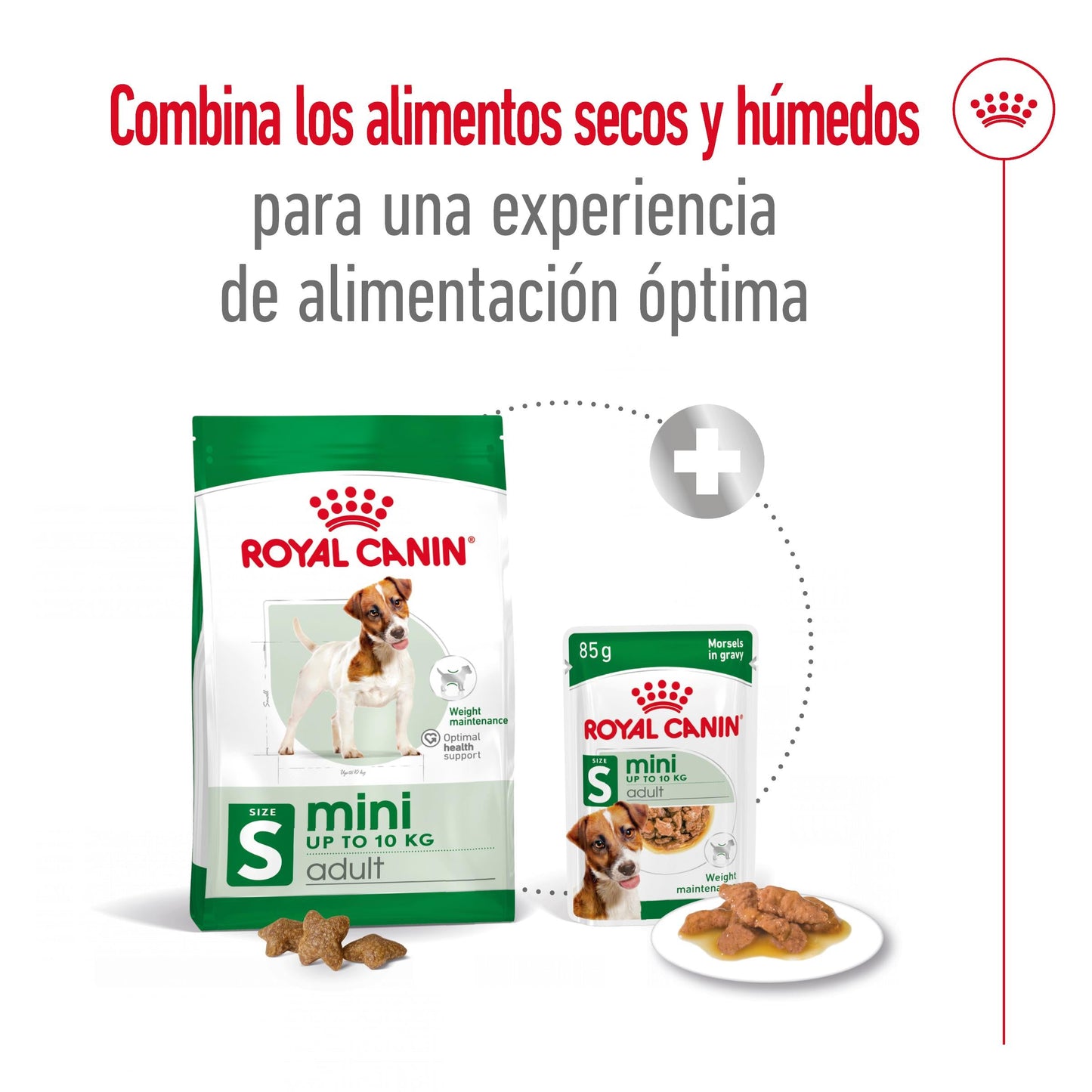 Royal Canin Mini Adult S Pienso para Perros ROYAL CANIN Mascotas-Ávila