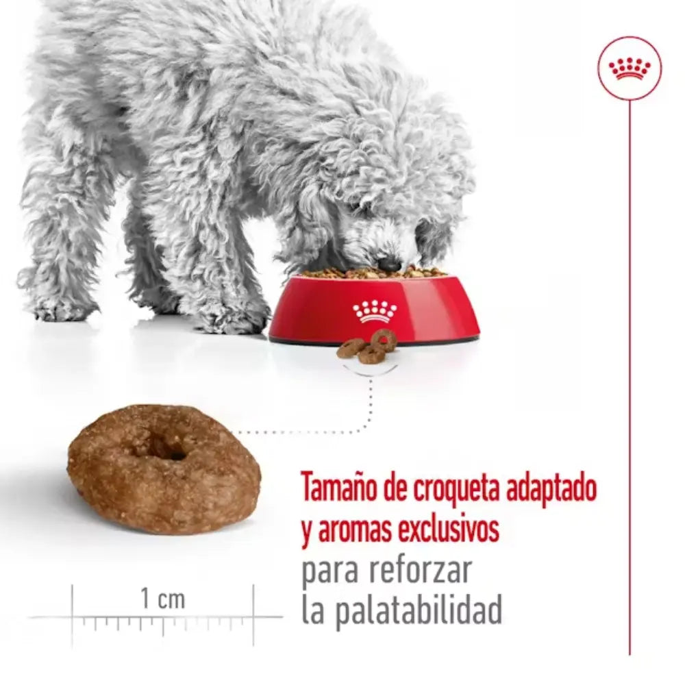 Royal Canin Mini Ageing+12 1,5 kg ROYAL CANIN Mascotas-Ávila