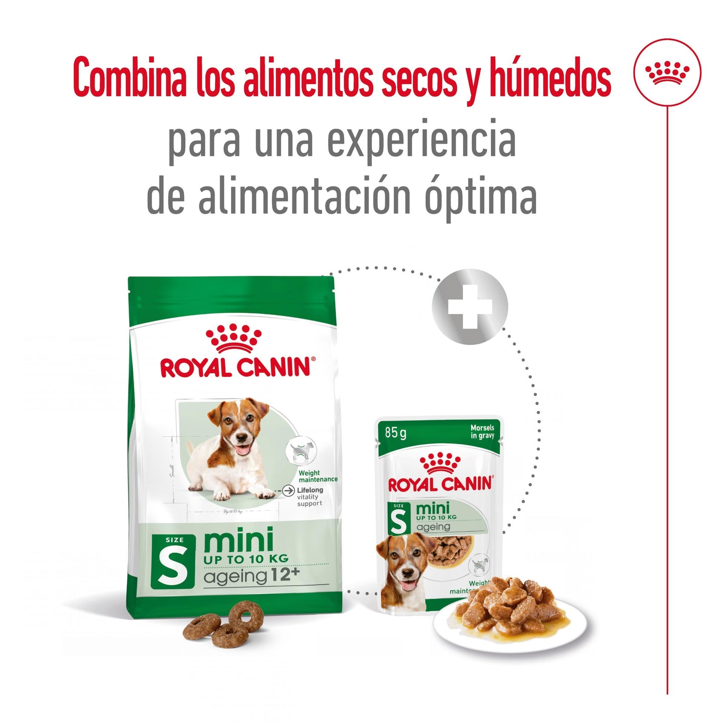 Royal Canin Mini Ageing+12 Pienso para Perros Senior ROYAL CANIN Mascotas-Ávila