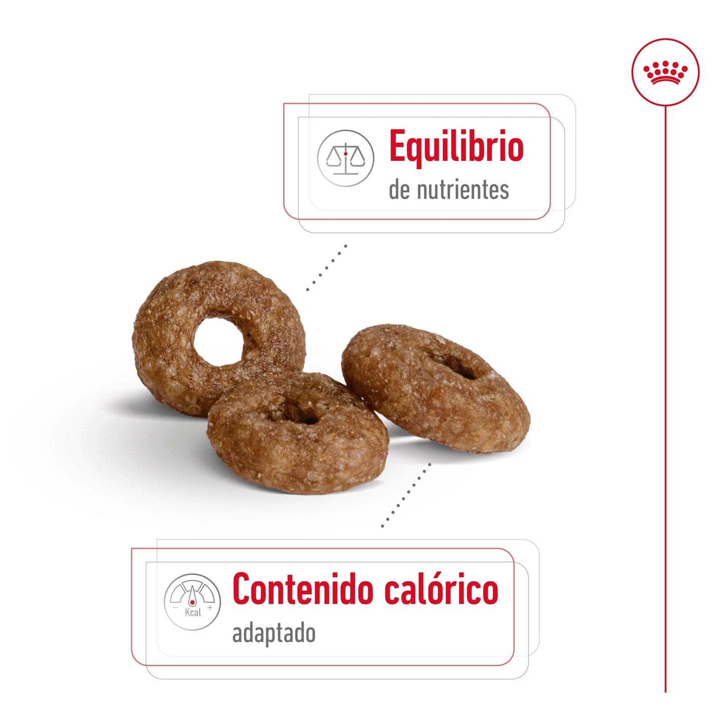 Royal Canin Mini Ageing+12 Pienso para Perros Senior ROYAL CANIN Mascotas-Ávila
