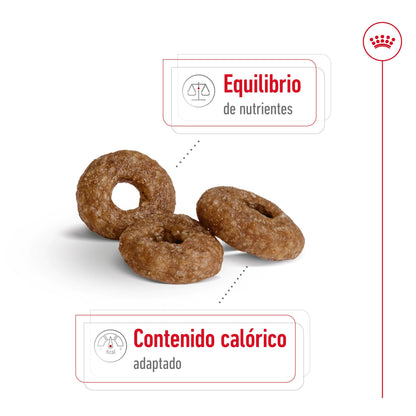 Royal Canin Mini Ageing+12 Pienso para Perros Senior ROYAL CANIN Mascotas-Ávila