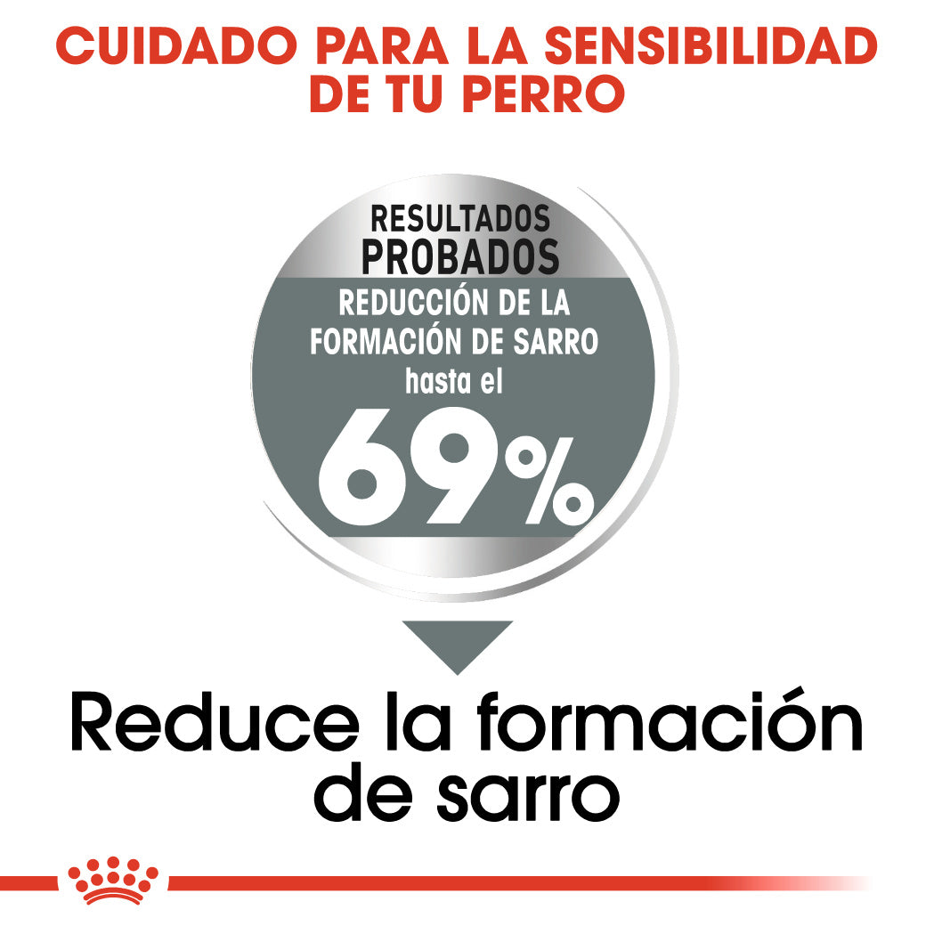 Royal Canin Mini Dental Care Pienso para Perros ROYAL CANIN Mascotas-Ávila