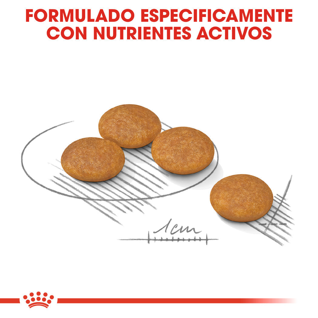 Royal Canin Mini Dermacomfort Care Pienso para Perros ROYAL CANIN Mascotas-Ávila