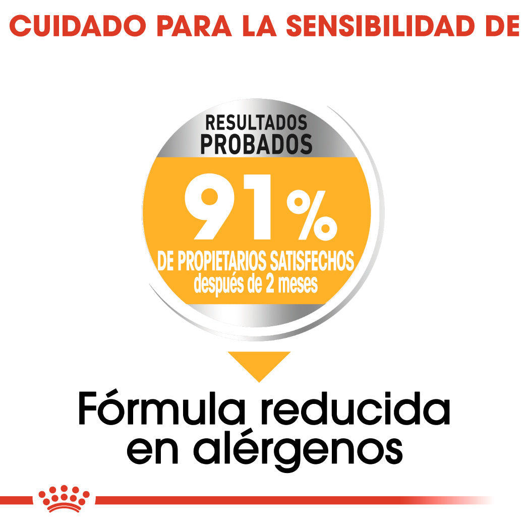 Royal Canin Mini Dermacomfort Care Pienso para Perros ROYAL CANIN Mascotas-Ávila