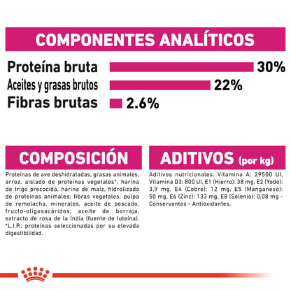 Royal Canin Mini Exigent Care Pienso para Perros ROYAL CANIN Mascotas-Ávila