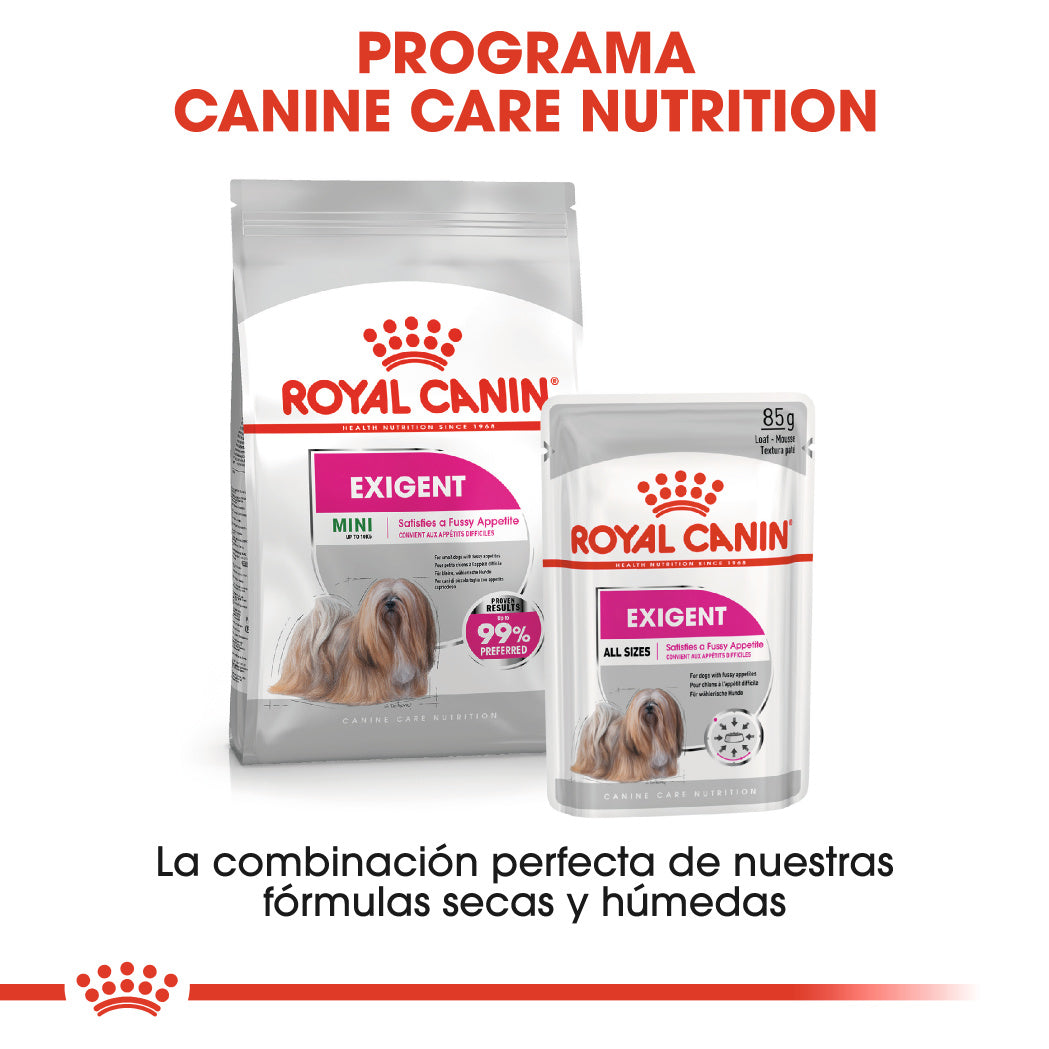 Royal Canin Mini Exigent Care Pienso para Perros ROYAL CANIN Mascotas-Ávila
