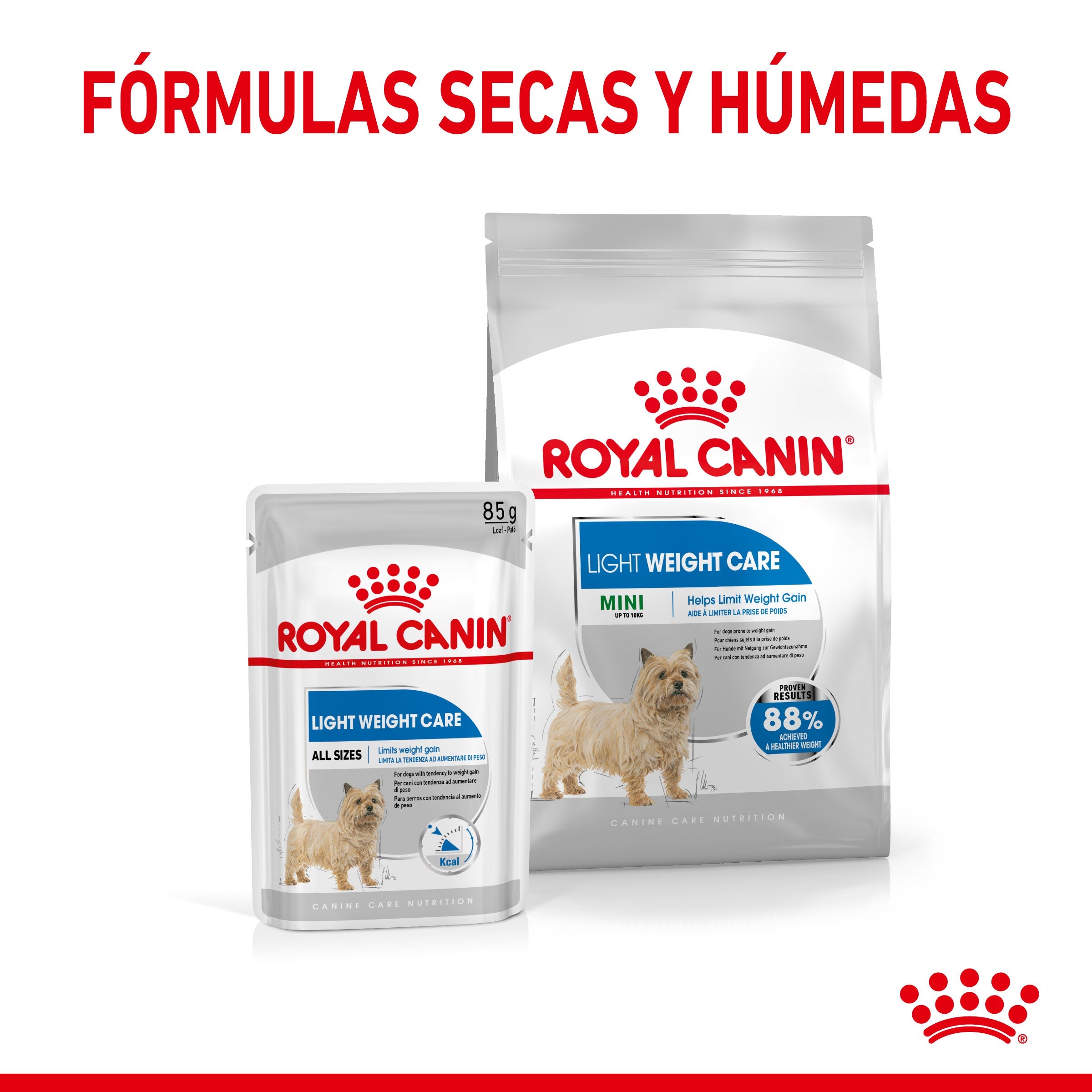 Royal Canin Mini Light Weight Care Pienso para Perros ROYAL CANIN Mascotas-Ávila