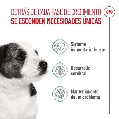 Royal Canin Mini Puppy Pienso para Cachorros ROYAL CANIN Mascotas-Ávila