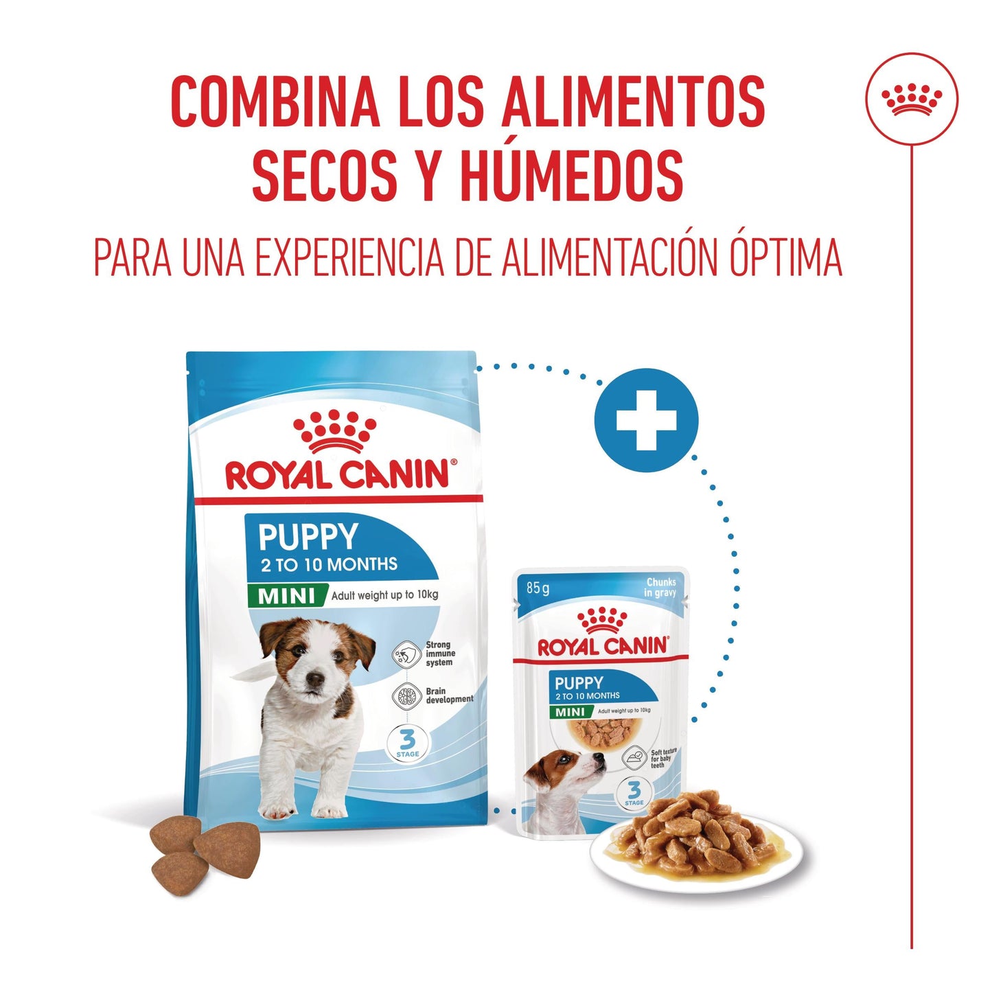 Royal Canin Mini Puppy Pienso para Cachorros ROYAL CANIN Mascotas-Ávila