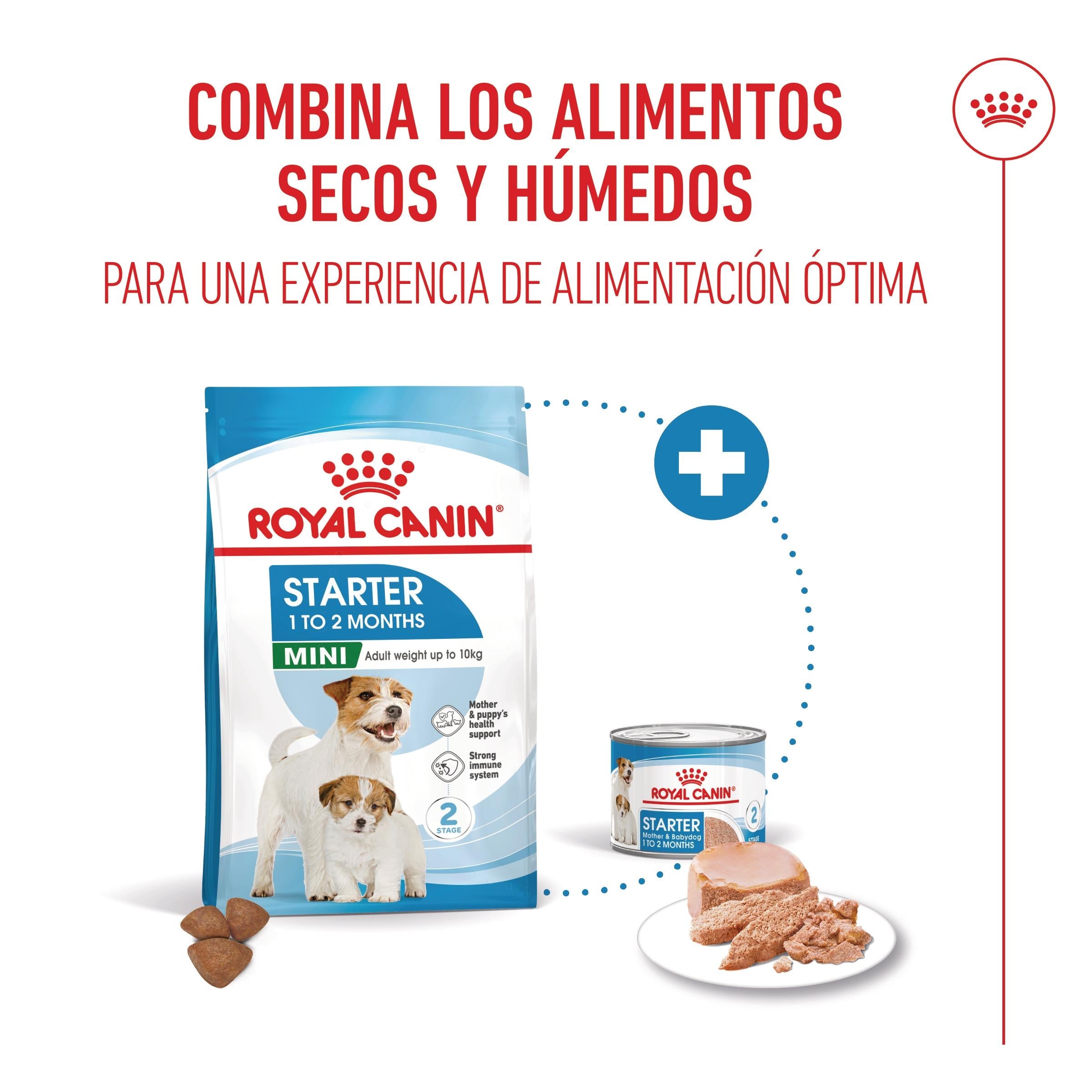 Royal Canin Mini Starter Mother & Babydog Pienso para Cachorros y Madres Lactantes ROYAL CANIN Mascotas-Ávila