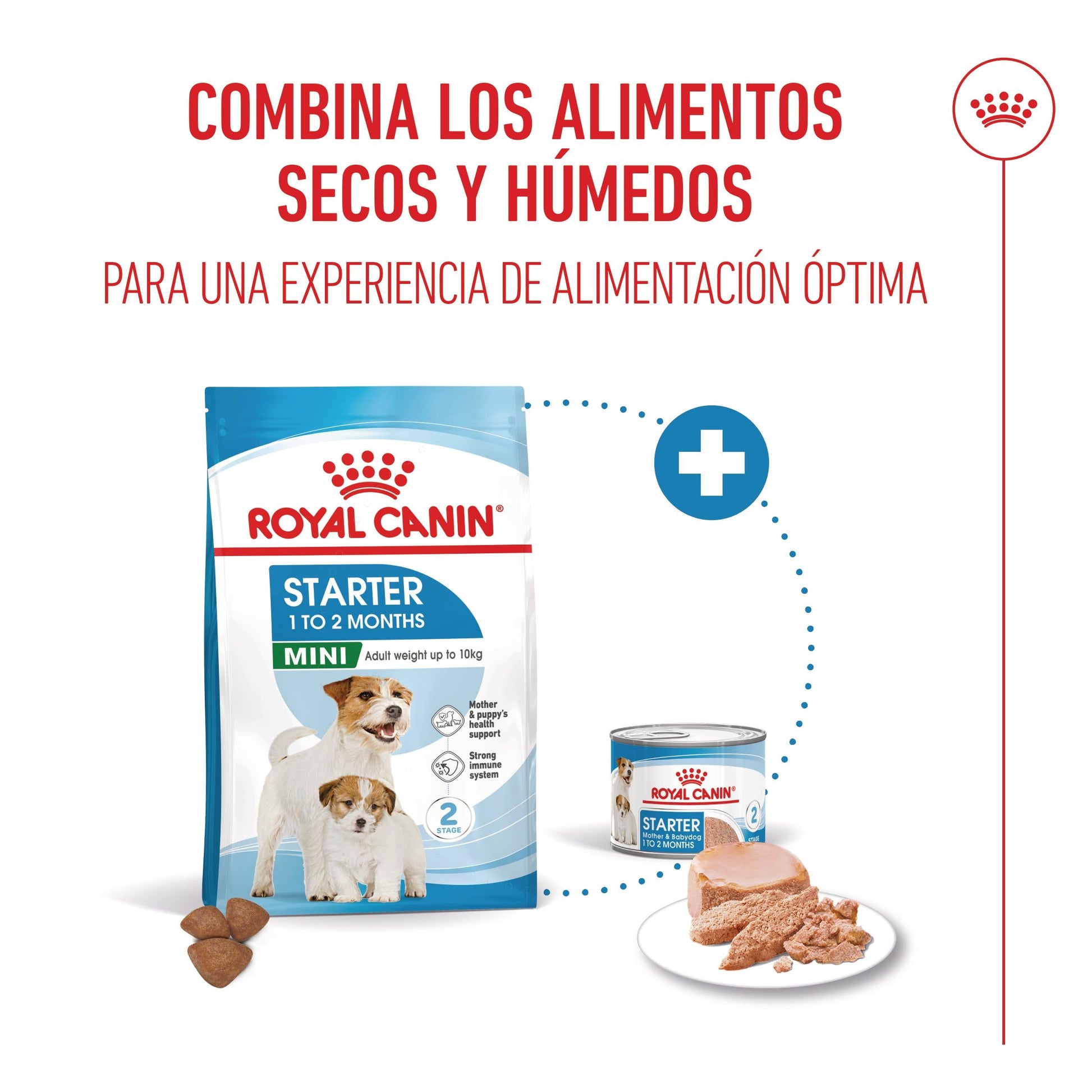 Royal Canin Mini Starter Mother & Babydog Pienso para Cachorros y Madres Lactantes ROYAL CANIN Mascotas-Ávila