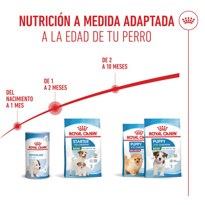 Royal Canin Mini Starter Mother & Babydog Pienso para Cachorros y Madres Lactantes ROYAL CANIN Mascotas-Ávila