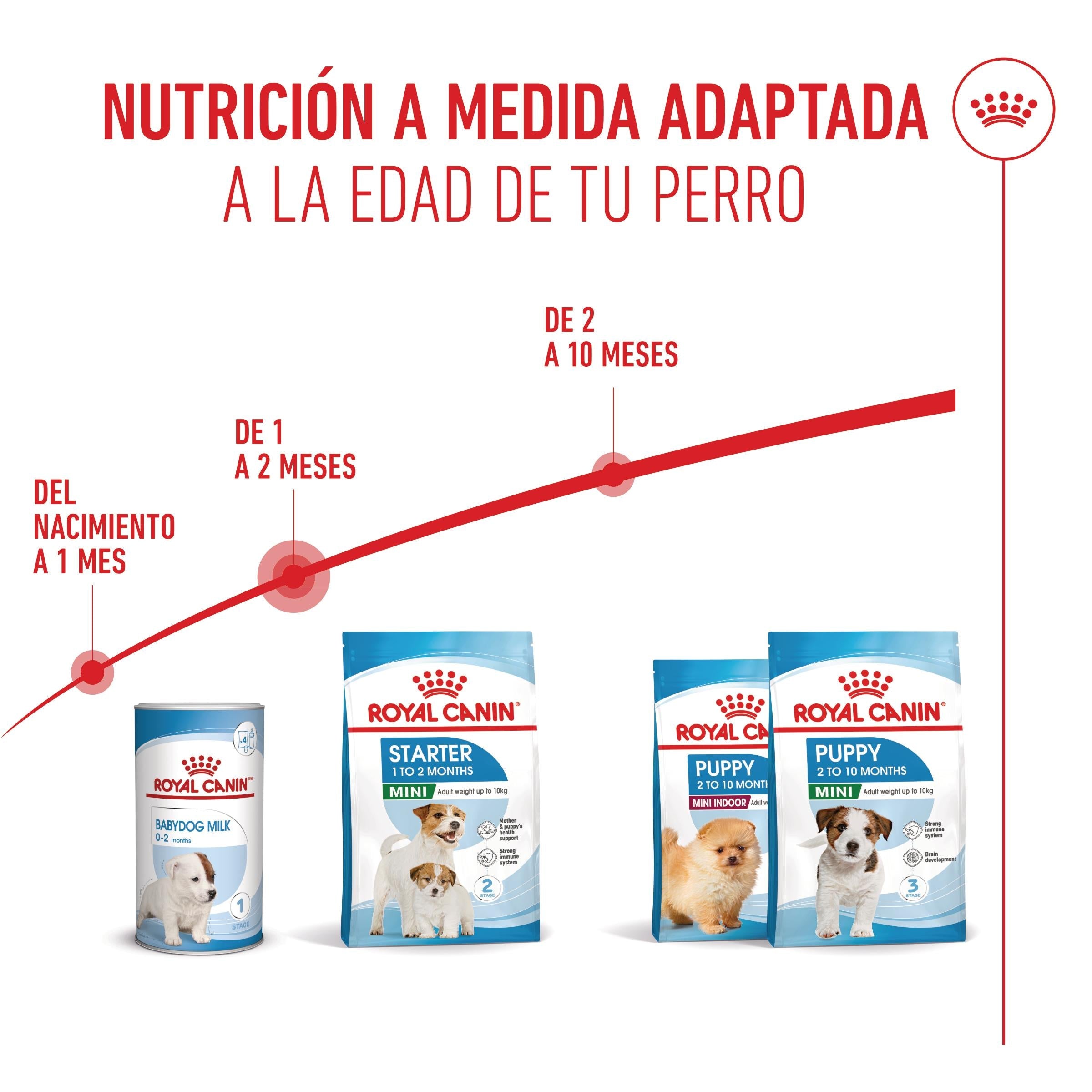 Royal Canin Mini Starter Mother & Babydog Pienso para Cachorros y Madres Lactantes ROYAL CANIN Mascotas-Ávila
