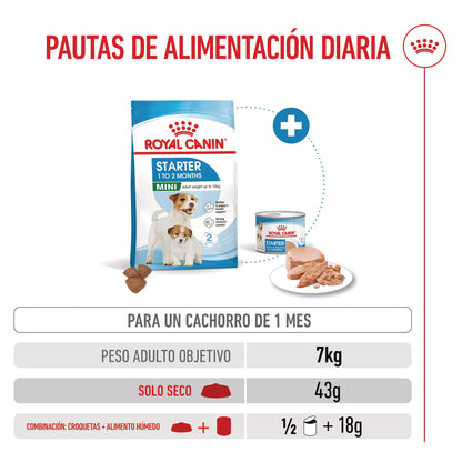 Royal Canin Mini Starter Mother & Babydog Pienso para Cachorros y Madres Lactantes ROYAL CANIN Mascotas-Ávila