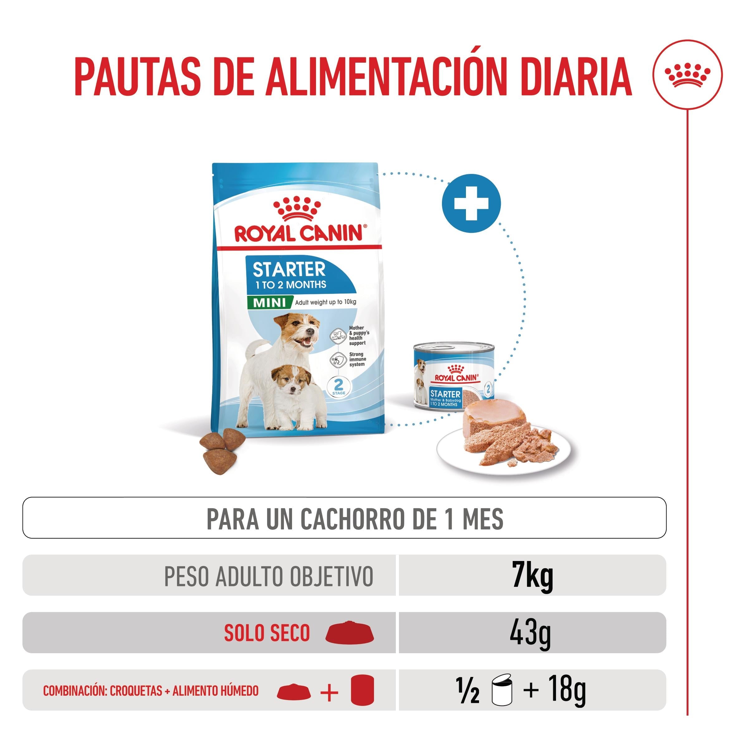 Royal Canin Mini Starter Mother & Babydog Pienso para Cachorros y Madres Lactantes ROYAL CANIN Mascotas-Ávila