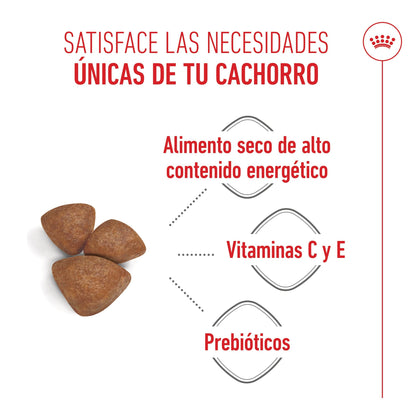 Royal Canin Mini Starter Mother & Babydog Pienso para Cachorros y Madres Lactantes ROYAL CANIN Mascotas-Ávila