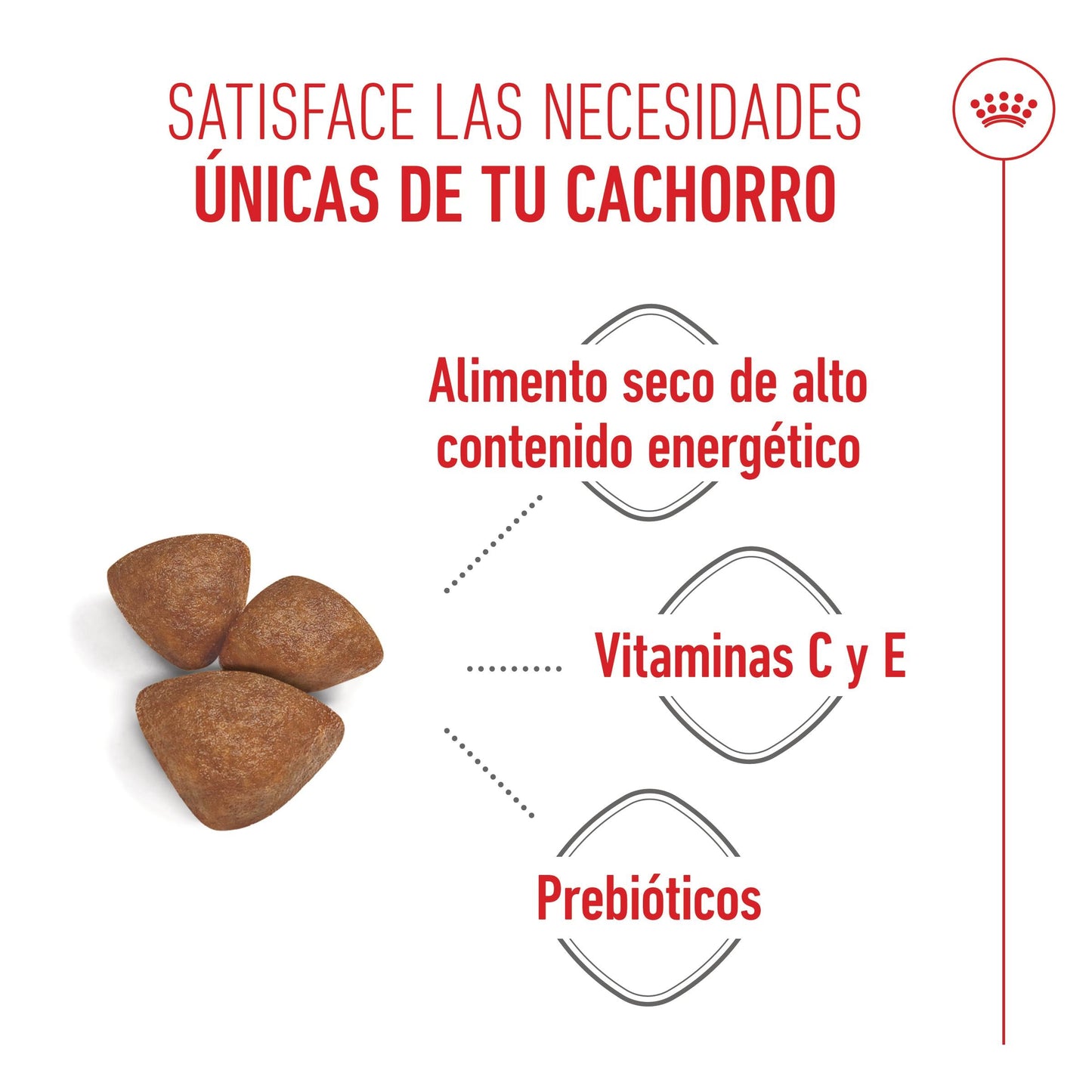 Royal Canin Mini Starter Mother & Babydog Pienso para Cachorros y Madres Lactantes ROYAL CANIN Mascotas-Ávila