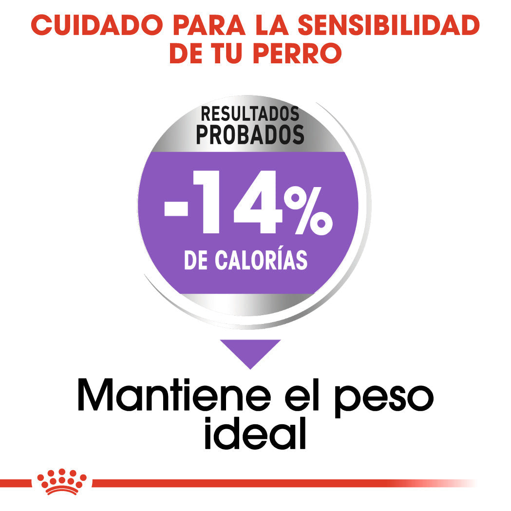 Royal Canin Mini Sterilized Care Pienso para Perros Esterilizados ROYAL CANIN Mascotas-Ávila