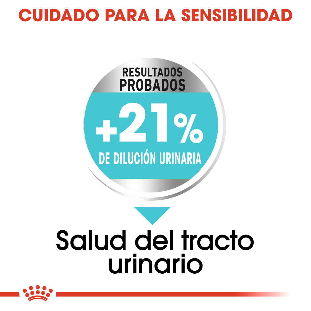 Royal Canin Mini Urinary Care Pienso para Perros ROYAL CANIN Mascotas-Ávila