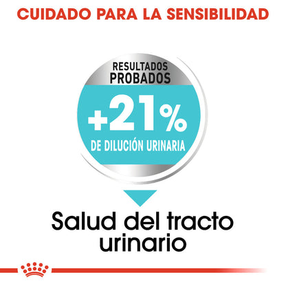 Royal Canin Mini Urinary Care Pienso para Perros ROYAL CANIN Mascotas-Ávila