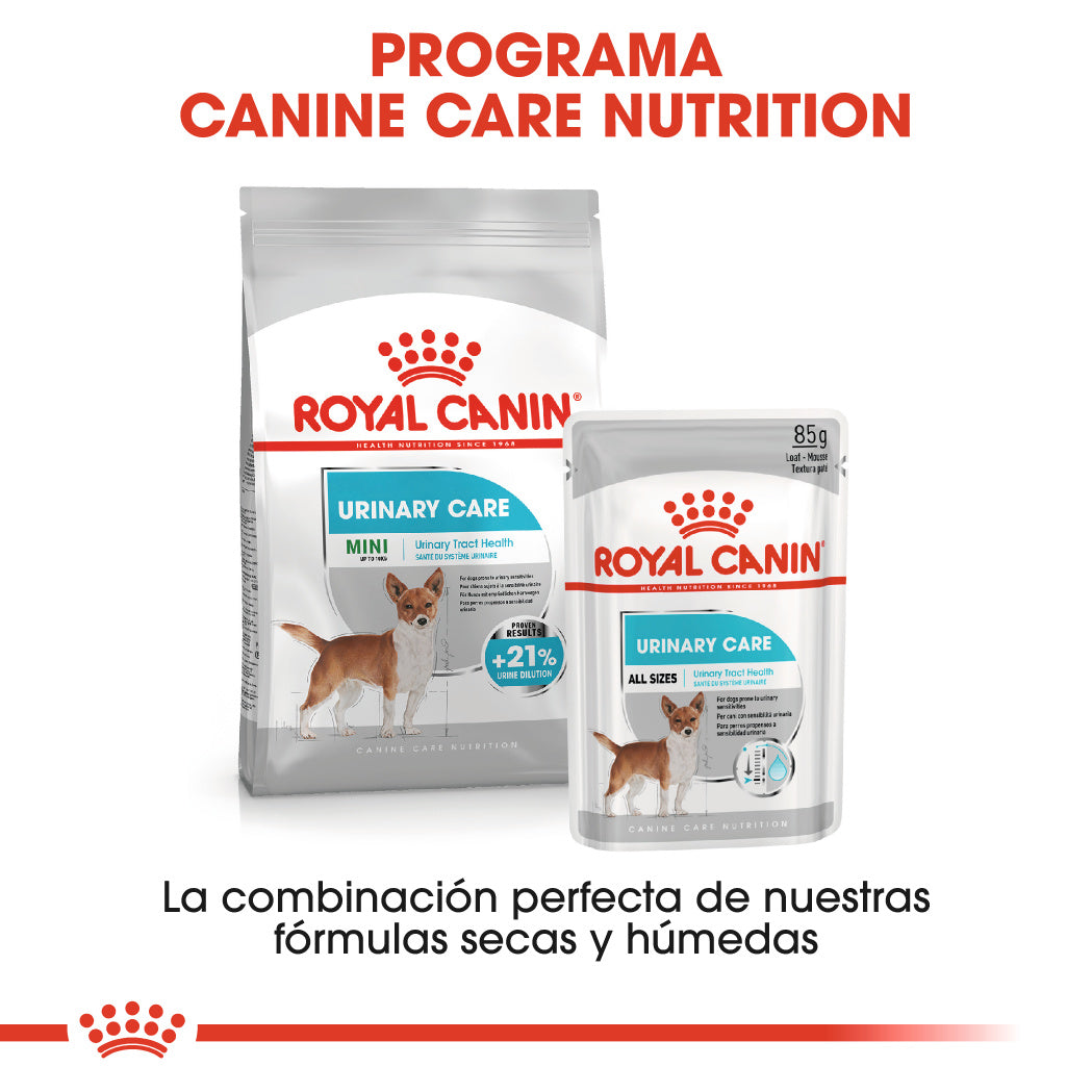 Royal Canin Mini Urinary Care Pienso para Perros ROYAL CANIN Mascotas-Ávila
