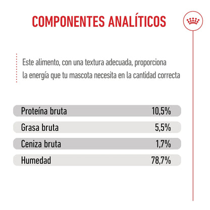 Royal Canin Mother & Babycat 195 g Mousse para Gatitos y Gatas Embarazadas o en Lactancia ROYAL CANIN Mascotas-Ávila