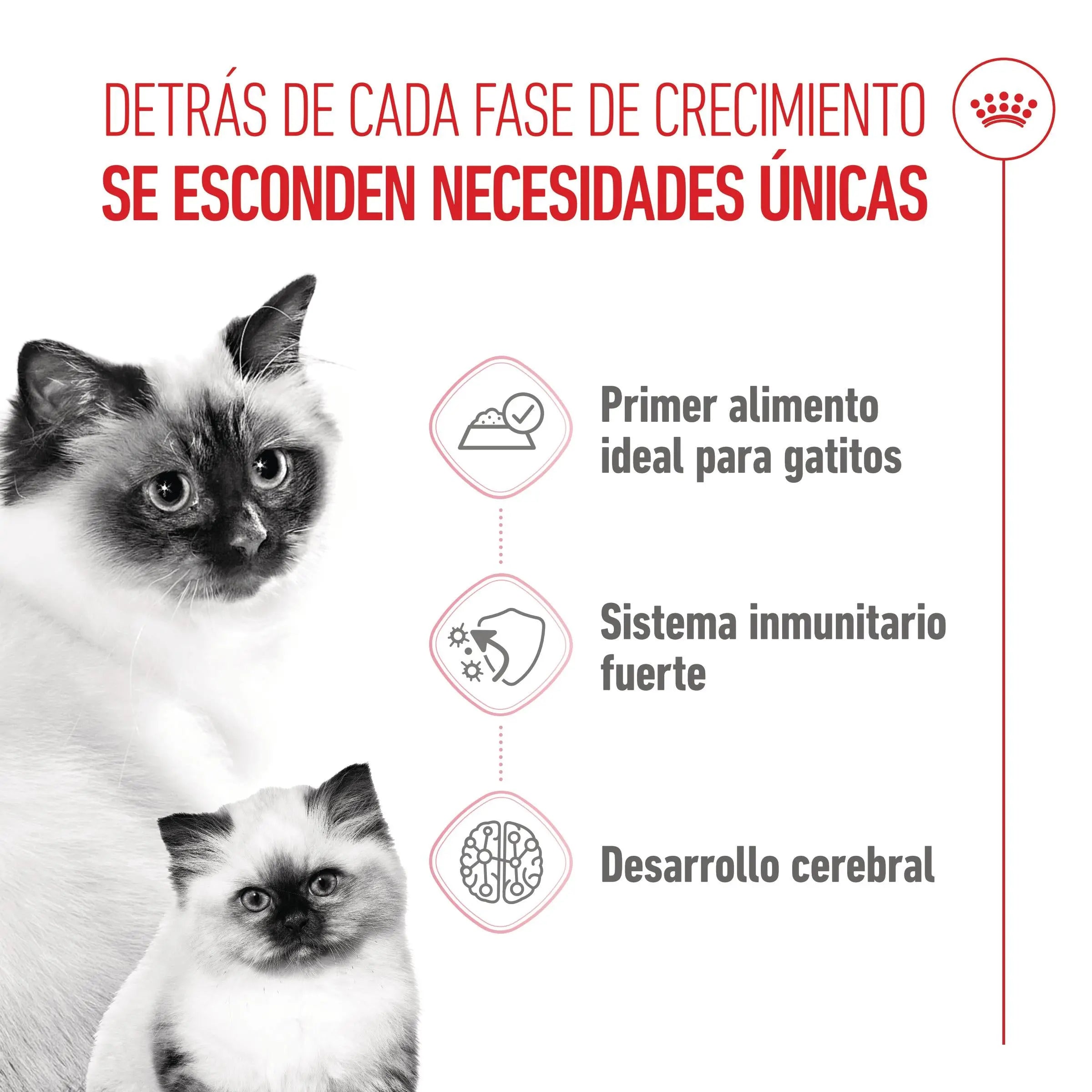 Royal Canin Mother & Babycat 195 g Mousse para Gatitos y Gatas Embarazadas o en Lactancia ROYAL CANIN Mascotas-Ávila