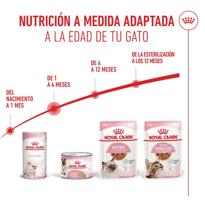 Royal Canin Mother & Babycat 195 g Mousse para Gatitos y Gatas Embarazadas o en Lactancia ROYAL CANIN Mascotas-Ávila