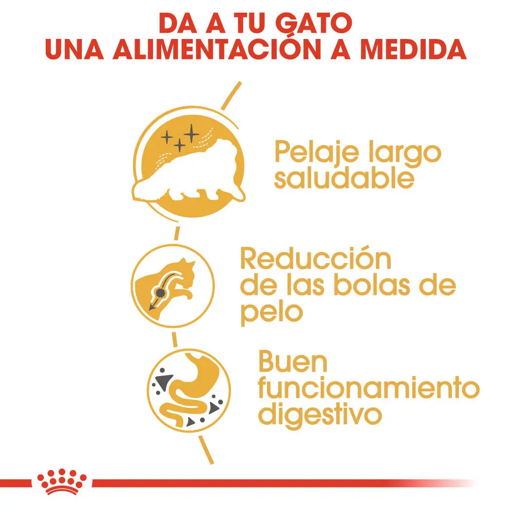 Royal Canin Persian Pienso para Gato Persa Adulto ROYAL CANIN Mascotas-Ávila