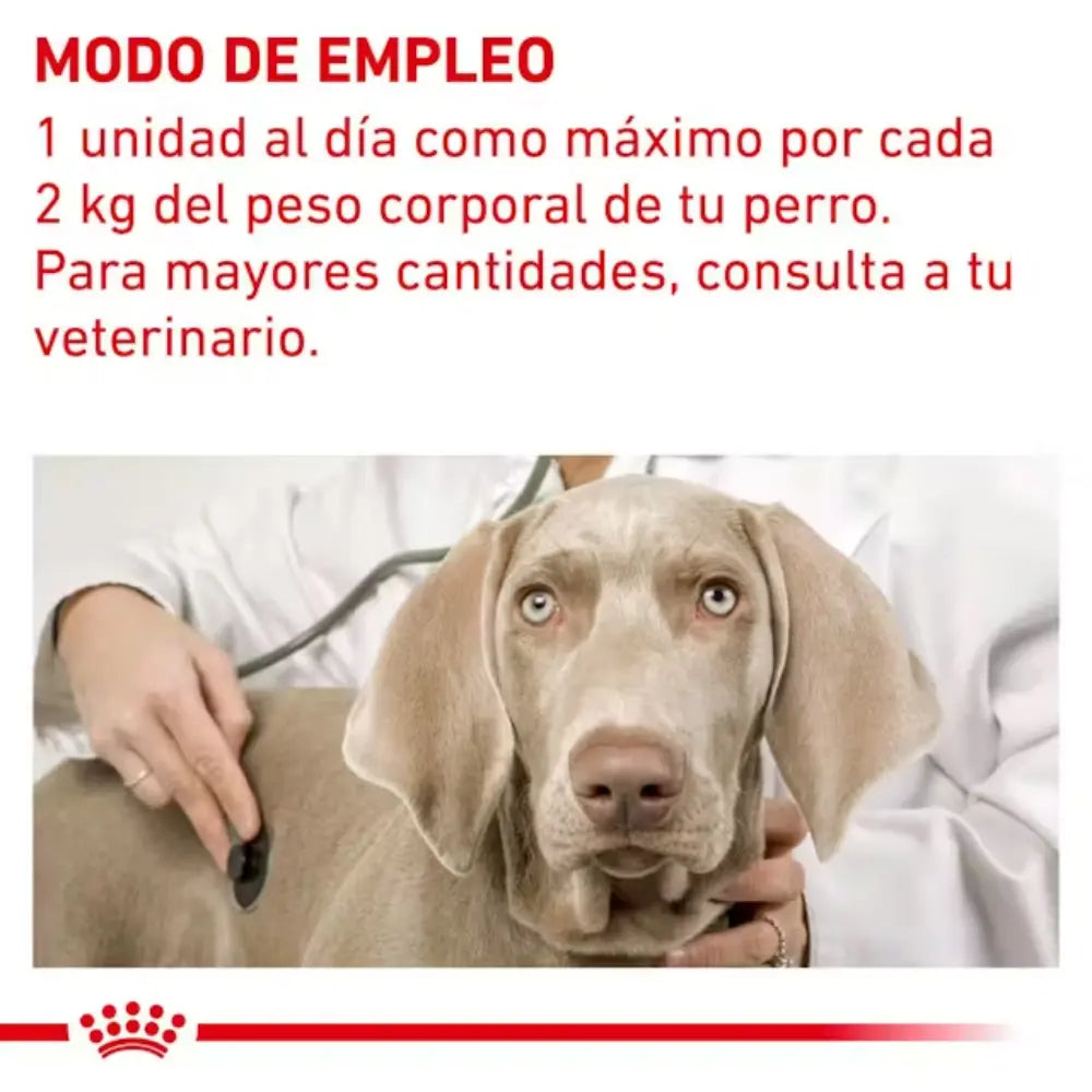 Royal Canin Pill Assist Small S Dog 90 g (Ayuda Para Pastillas) ROYAL CANIN VETERINARY Mascotas-Ávila