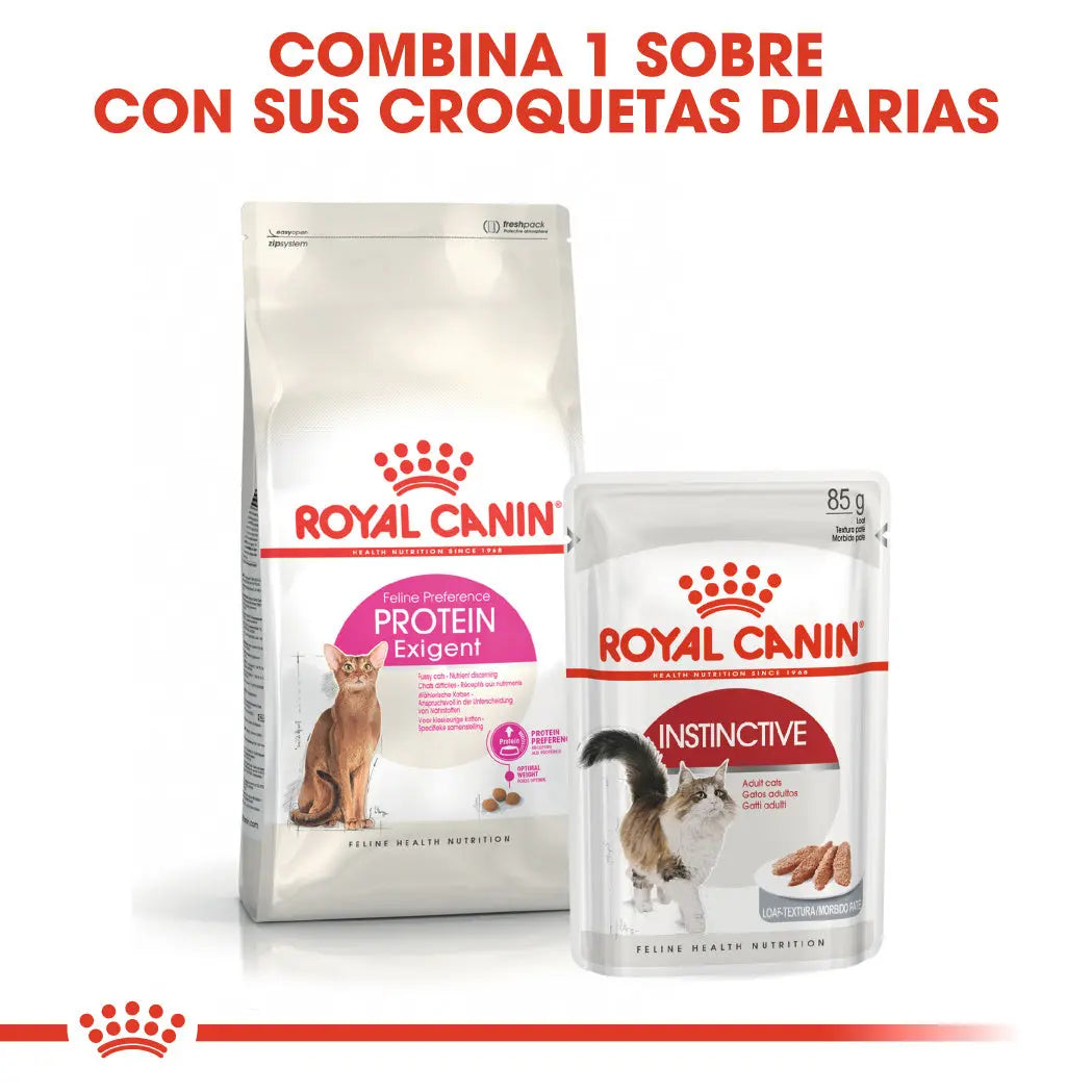 Royal Canin Protein Exigent 2 kg Pienso para Gatos ROYAL CANIN Mascotas-Ávila