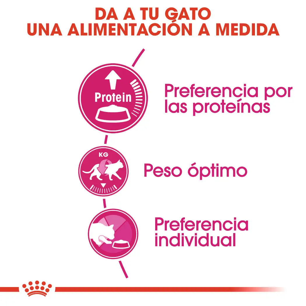Royal Canin Protein Exigent 2 kg Pienso para Gatos ROYAL CANIN Mascotas-Ávila
