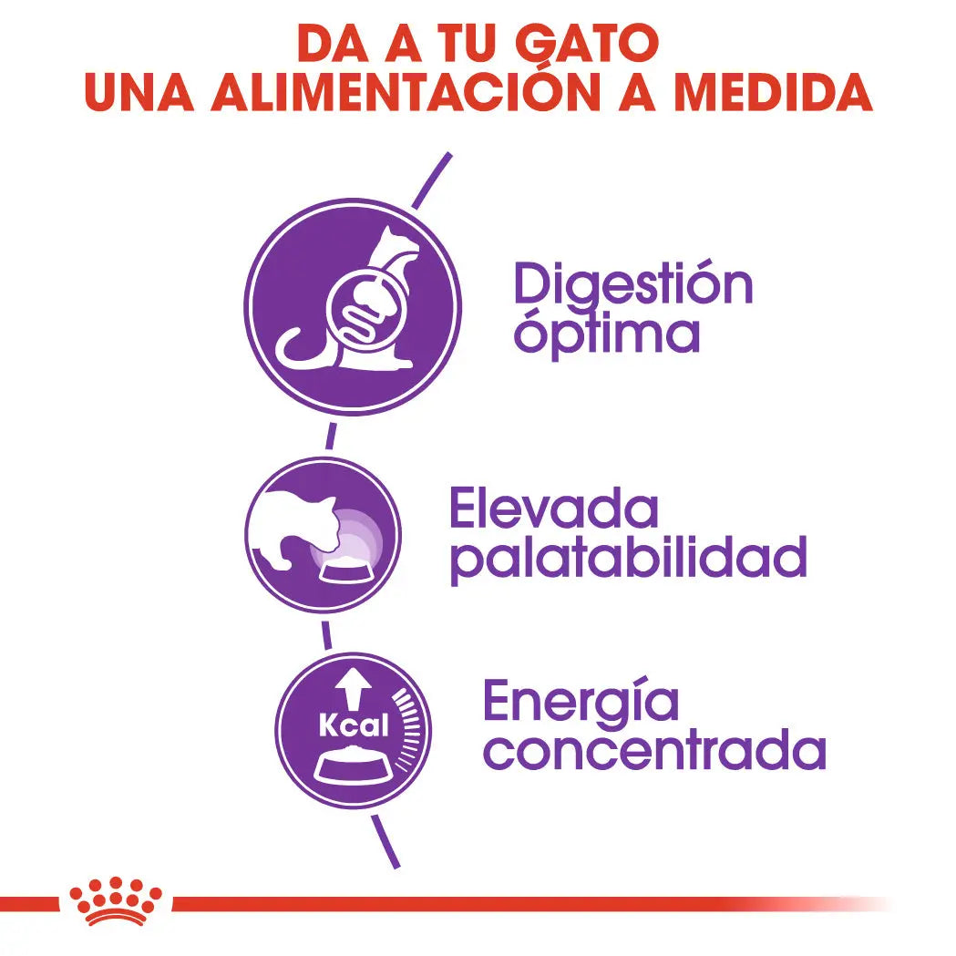 Royal Canin Sensible 33 Pienso para Gatos ROYAL CANIN Mascotas-Ávila