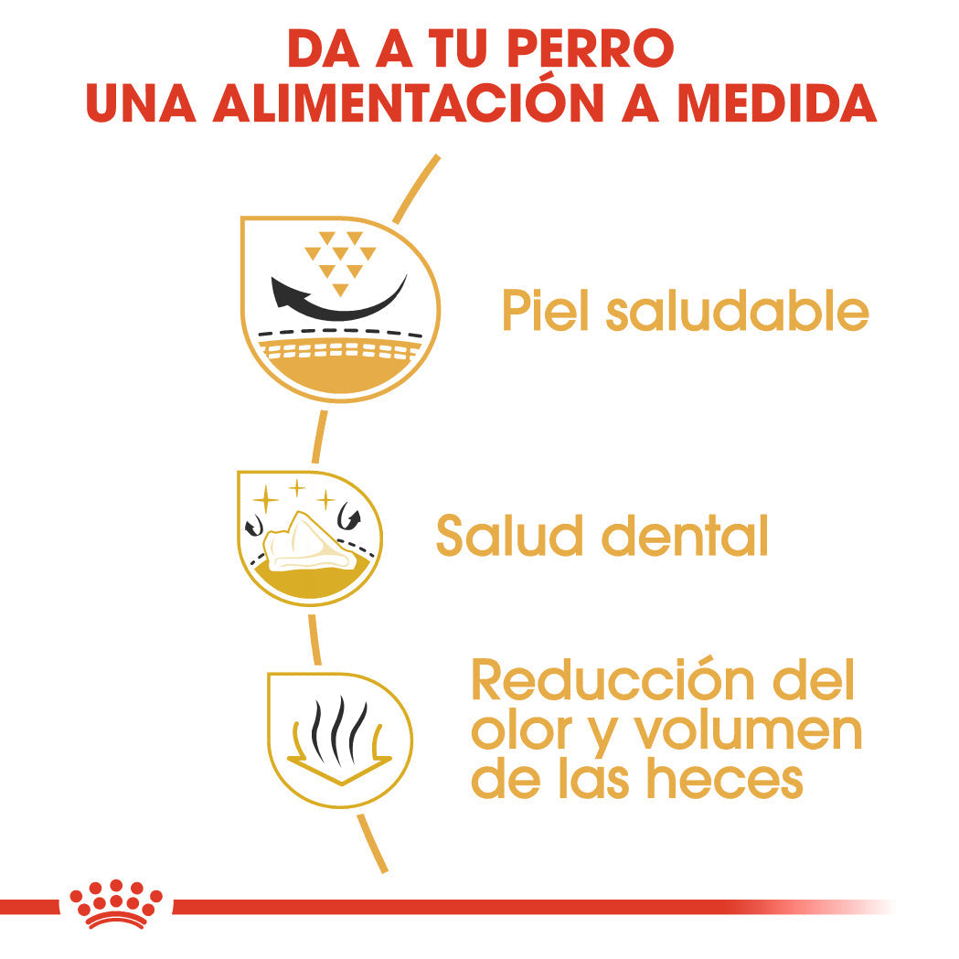 Royal Canin Shih Tzu Adulto Pienso para Perros de Raza ROYAL CANIN Mascotas-Ávila