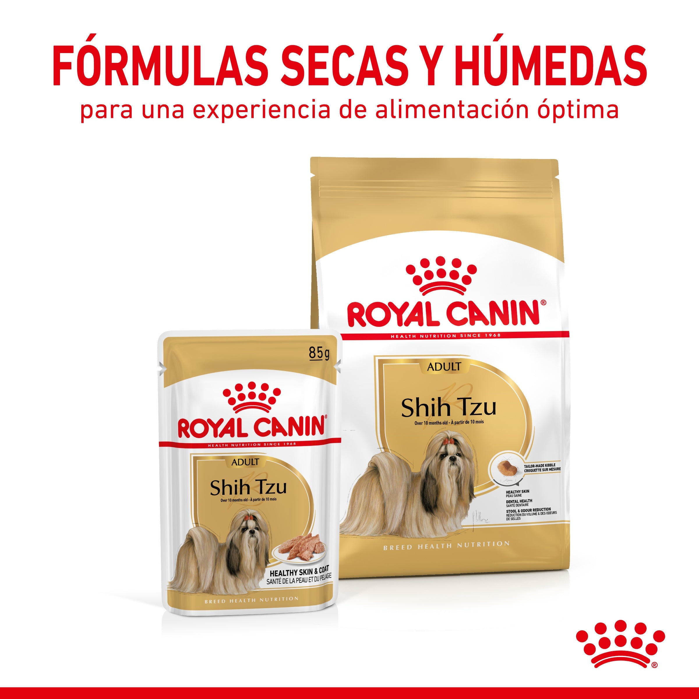Royal Canin Shih Tzu Paté Adulto 85 g Comida Húmeda para Perros ROYAL CANIN Mascotas-Ávila