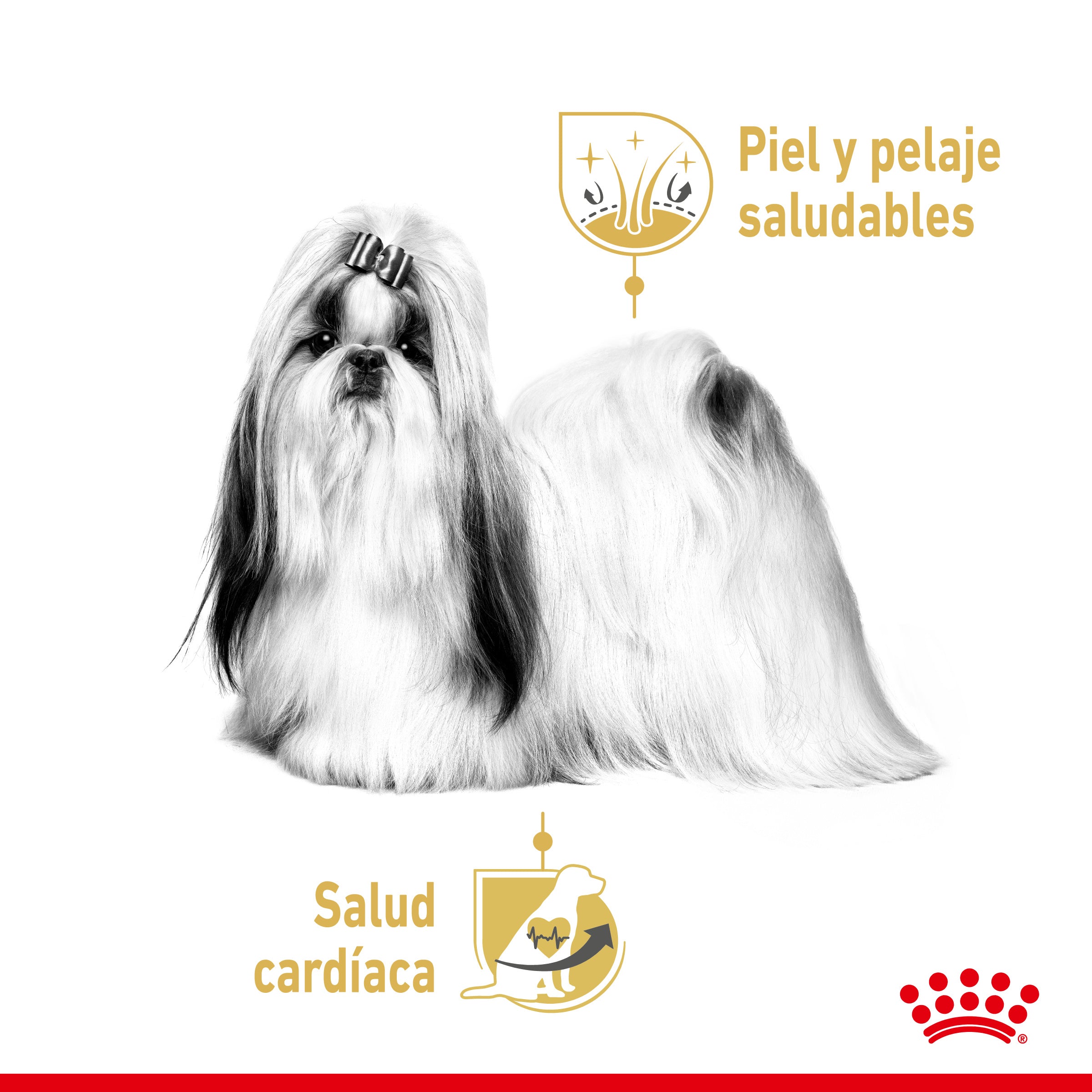 Royal Canin Shih Tzu Paté Adulto 85 g Comida Húmeda para Perros ROYAL CANIN Mascotas-Ávila