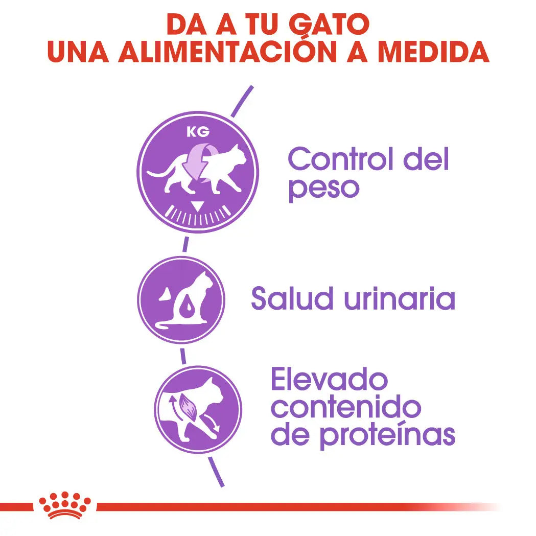 Royal Canin Sterilized 37 Pienso para Gatos Esterilizados ROYAL CANIN Mascotas-Ávila