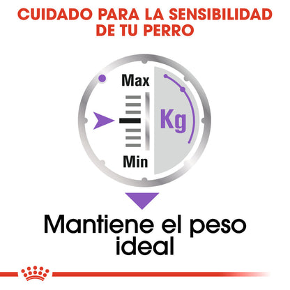 Royal Canin Sterilized Care Paté 85 g Comida Húmeda para Perros ROYAL CANIN Mascotas-Ávila