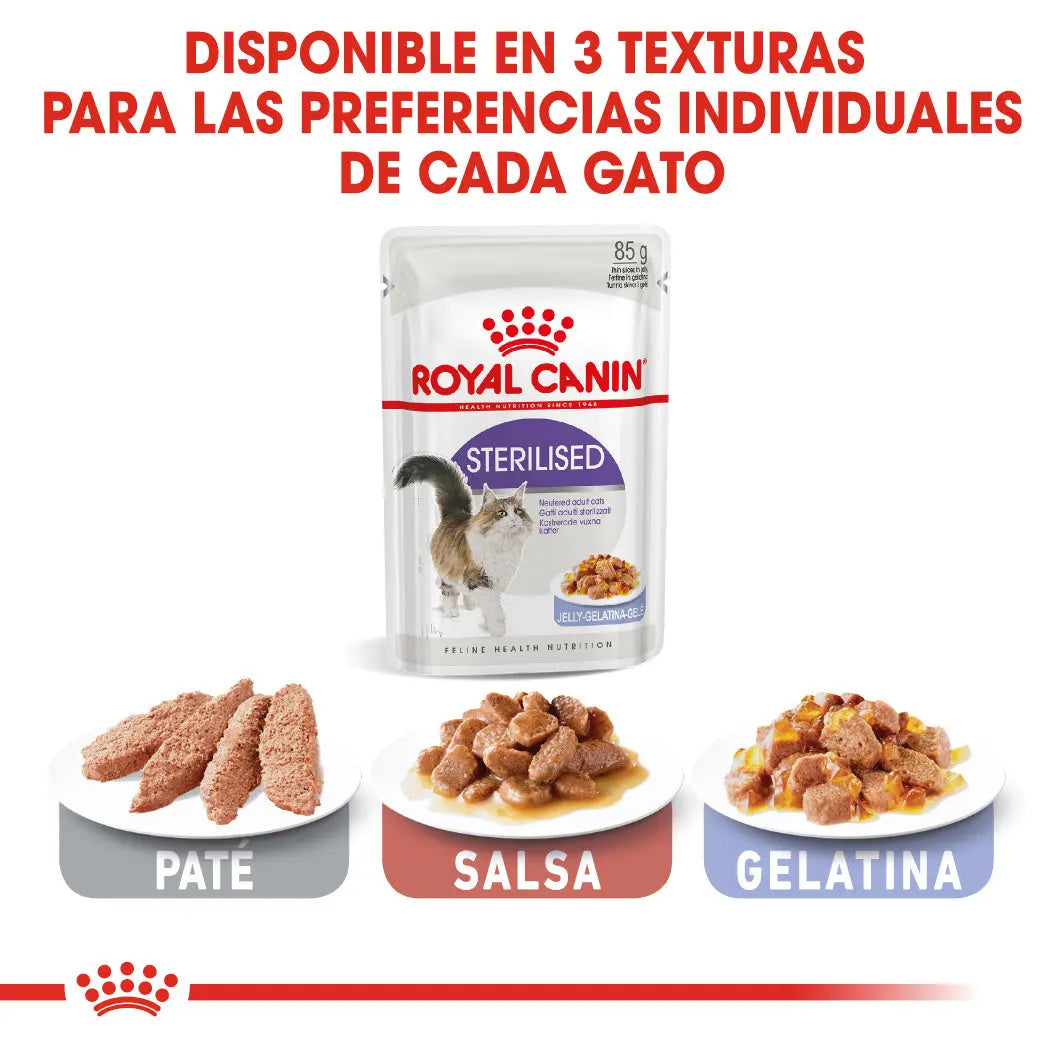 Royal Canin Sterilized Gelatina 85 g Comida Húmeda para Gatos Esterilizados ROYAL CANIN Mascotas-Ávila